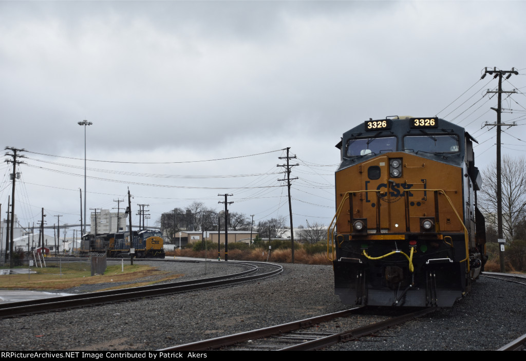 NPBL Berkeley yard 